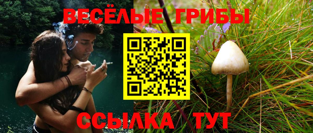МЕФ   Знаменск  Вход с VPN  Конопля  Cocaine 