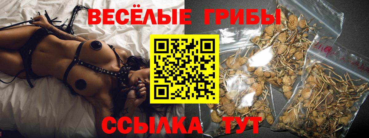 Знаменск  Галлюциногенные грибы ЛСД  Вход с VPN  цена   Галлюциногенные грибы ЛСД 