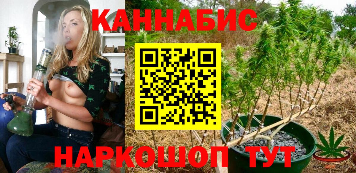 Канабис SATIVA & INDICA  Конопля планчик  Канабис тримм  Знаменск  Канабис план  Вход с VPN 